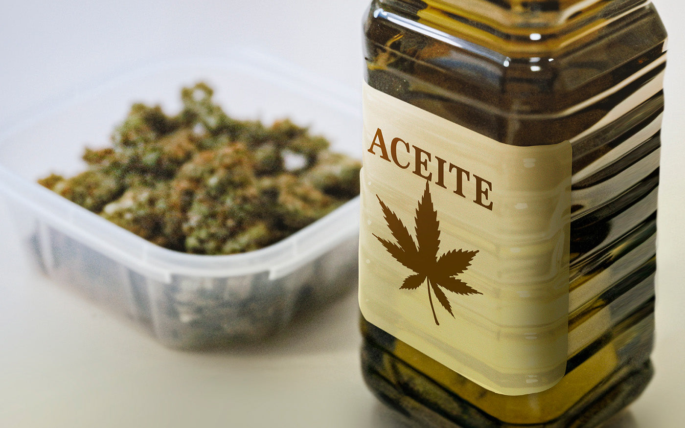 macerado ACEITE DE OLIVA con cannabis