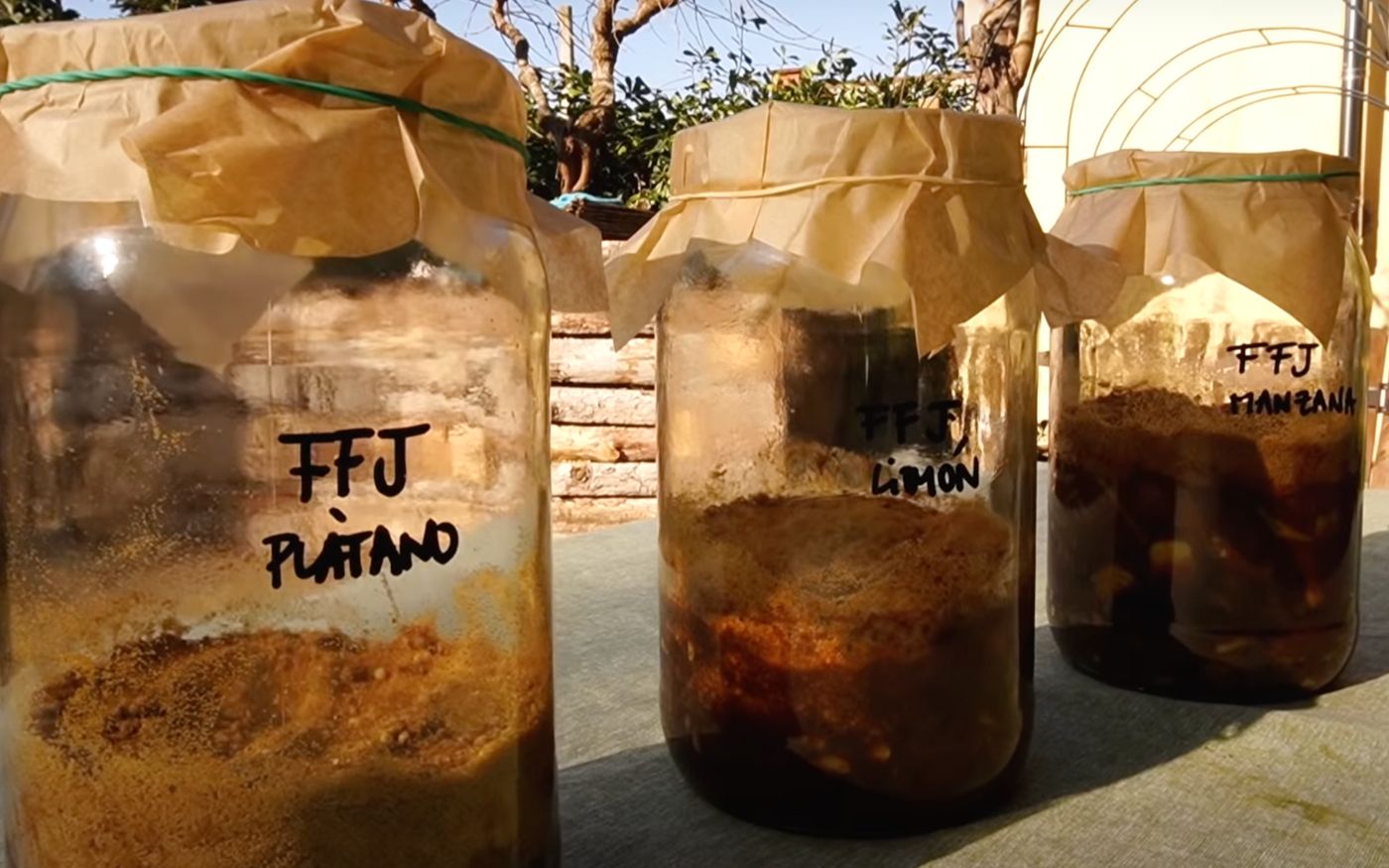 Abonos organicos caseros en el sistema de cultivo KNF