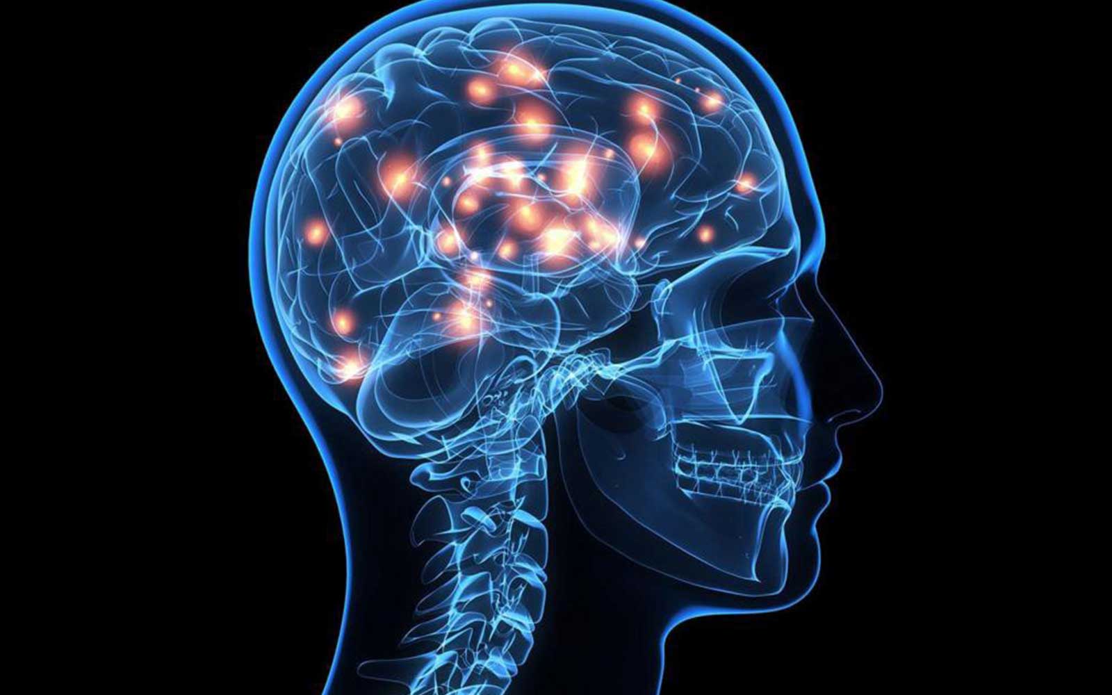 Sistema endocannabinoide — cómo funciona y su relación con el cannabis
