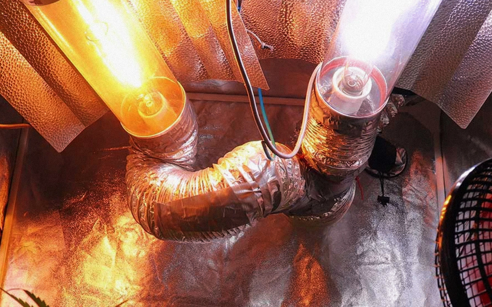 Ampolletas: Sodio vs. Haluro