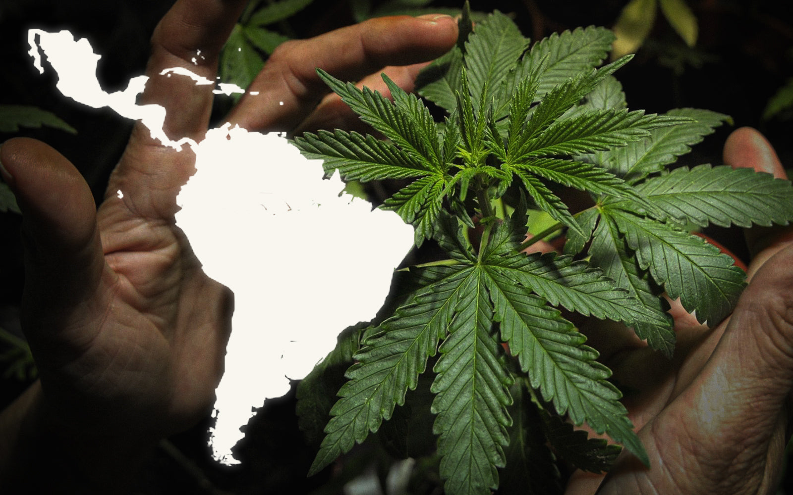 Regulación de la marihuana en Latam (2022)