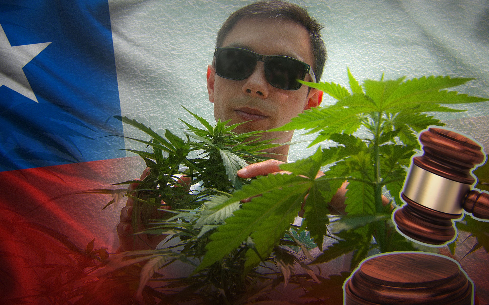 Ley vigente de cannabis en Chile