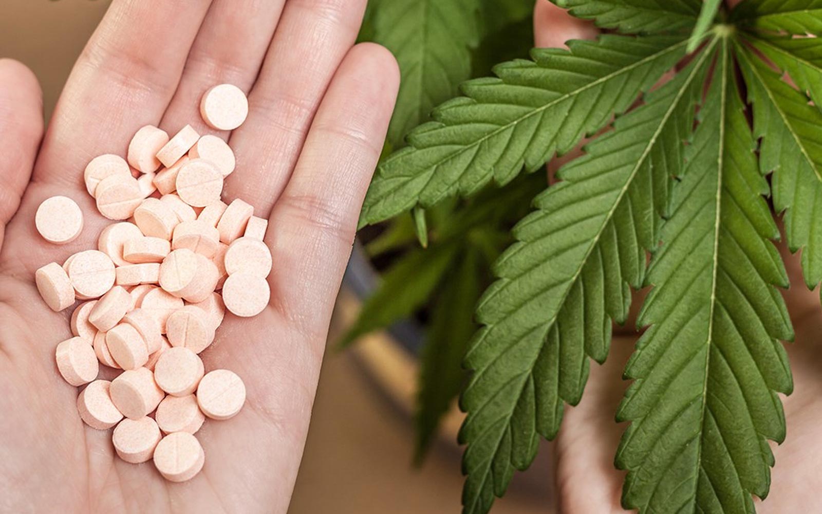 La interacción de la marihuana con fármacos