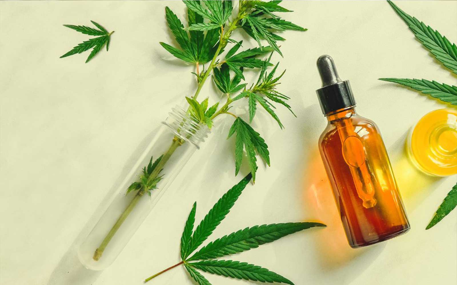alt='' aceite CBD de cannabis ''