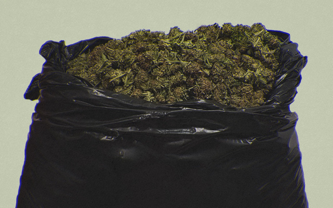 Impacto Ambiental del Cannabis: ¿Toneladas de Basura?