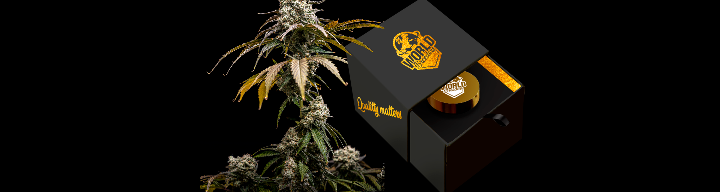Semillas World Breeders
