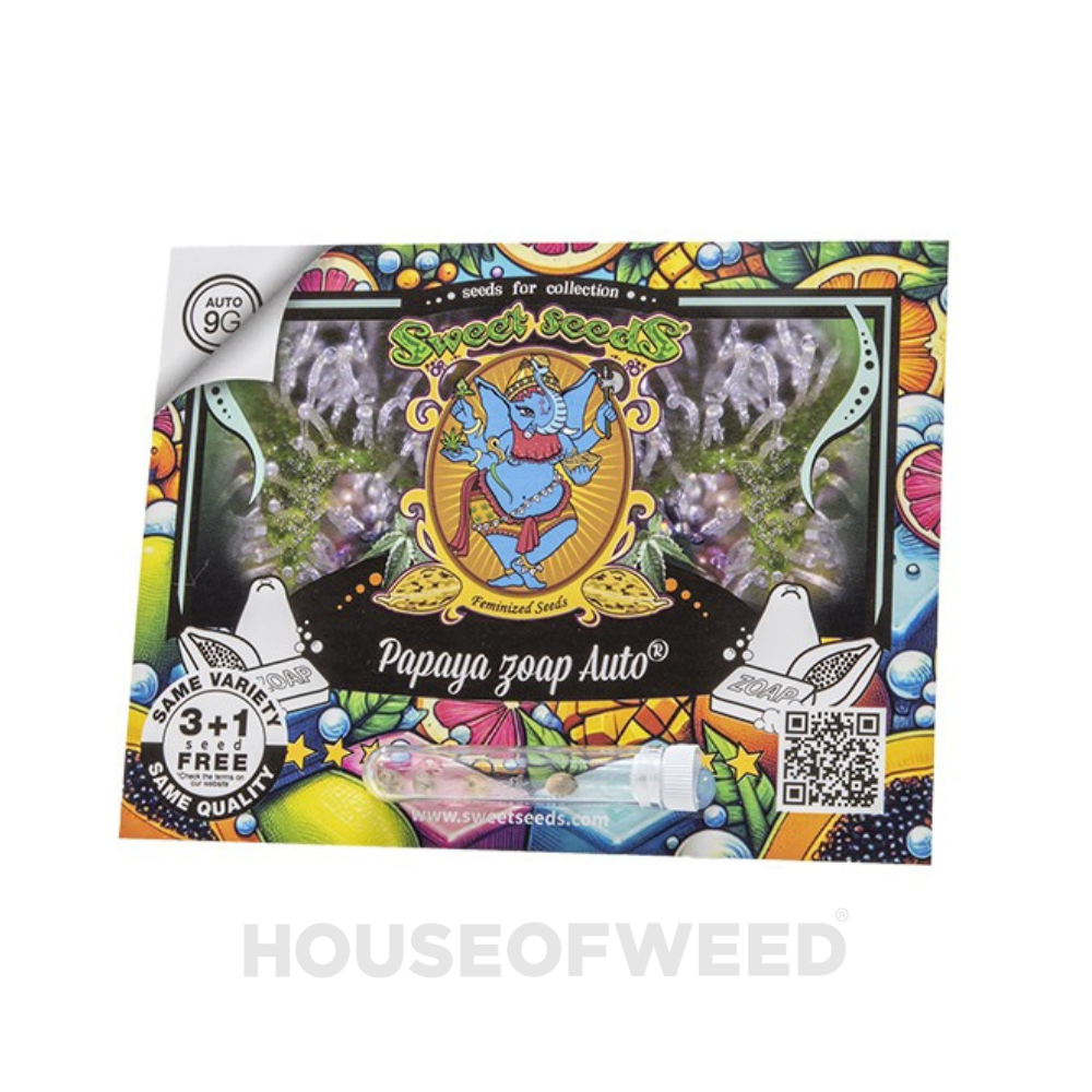empaque Papaya Zoap Auto de Sweet Seeds