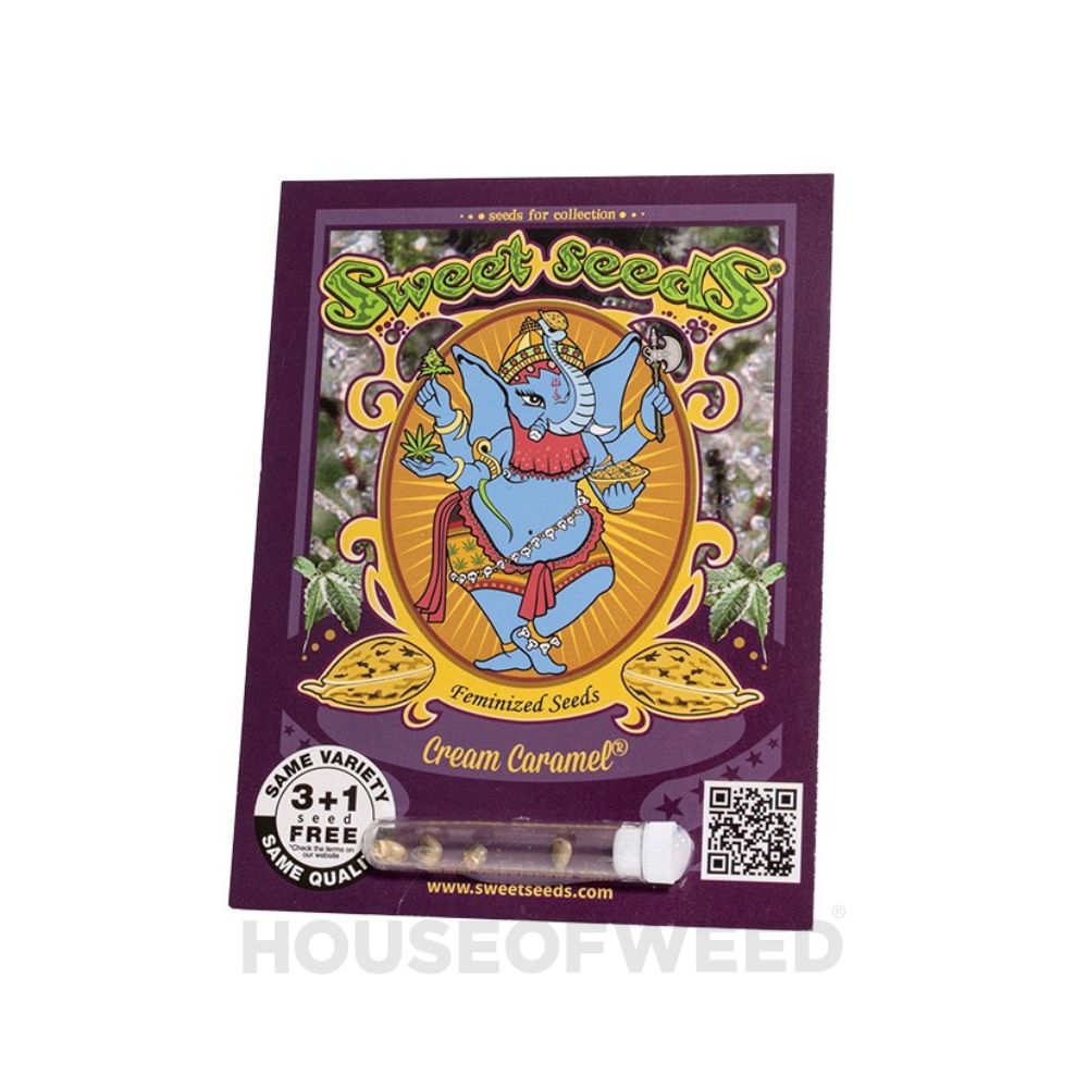 Sweet Seeds - Cream Caramel Empaque