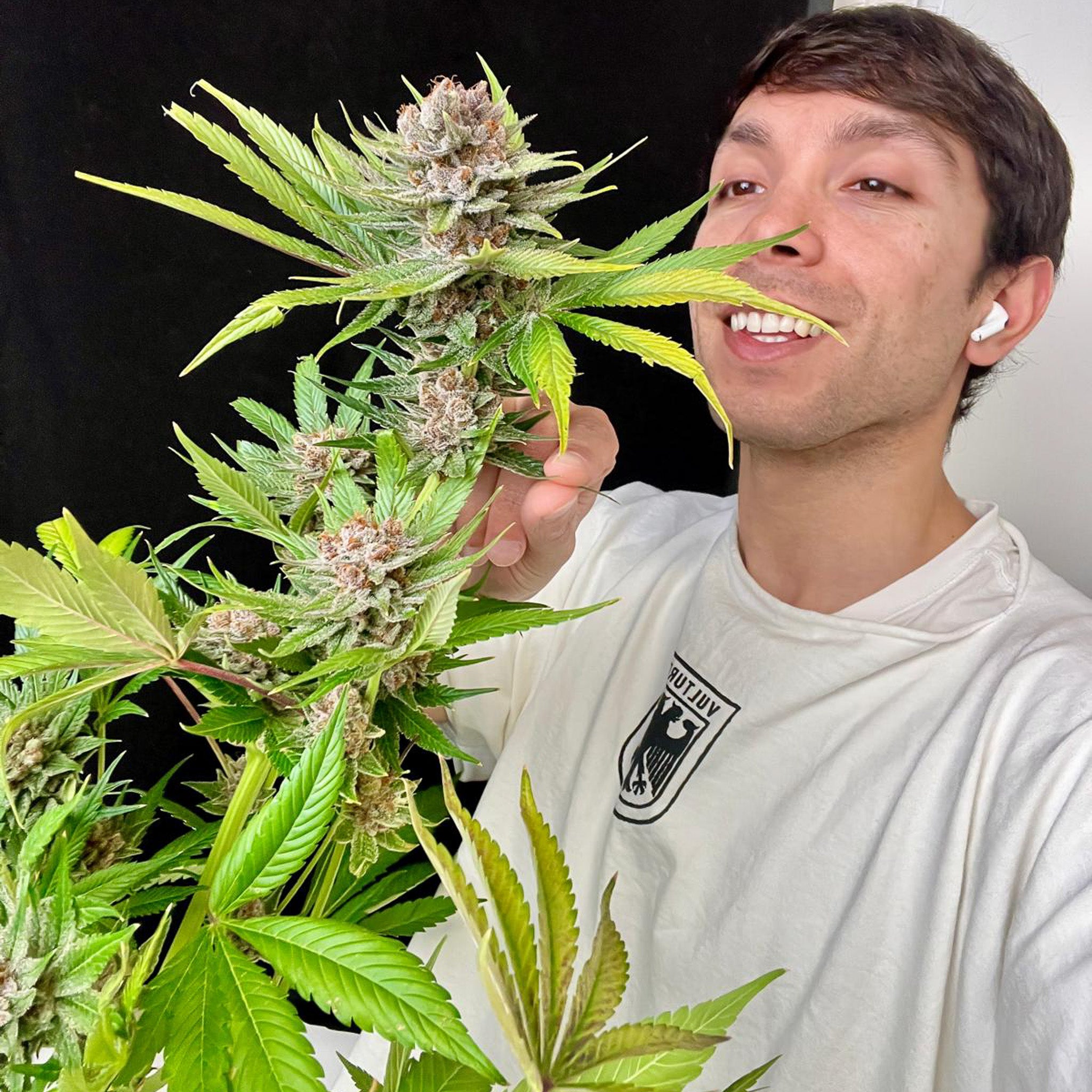 Black Muffin F1 Fast Version®