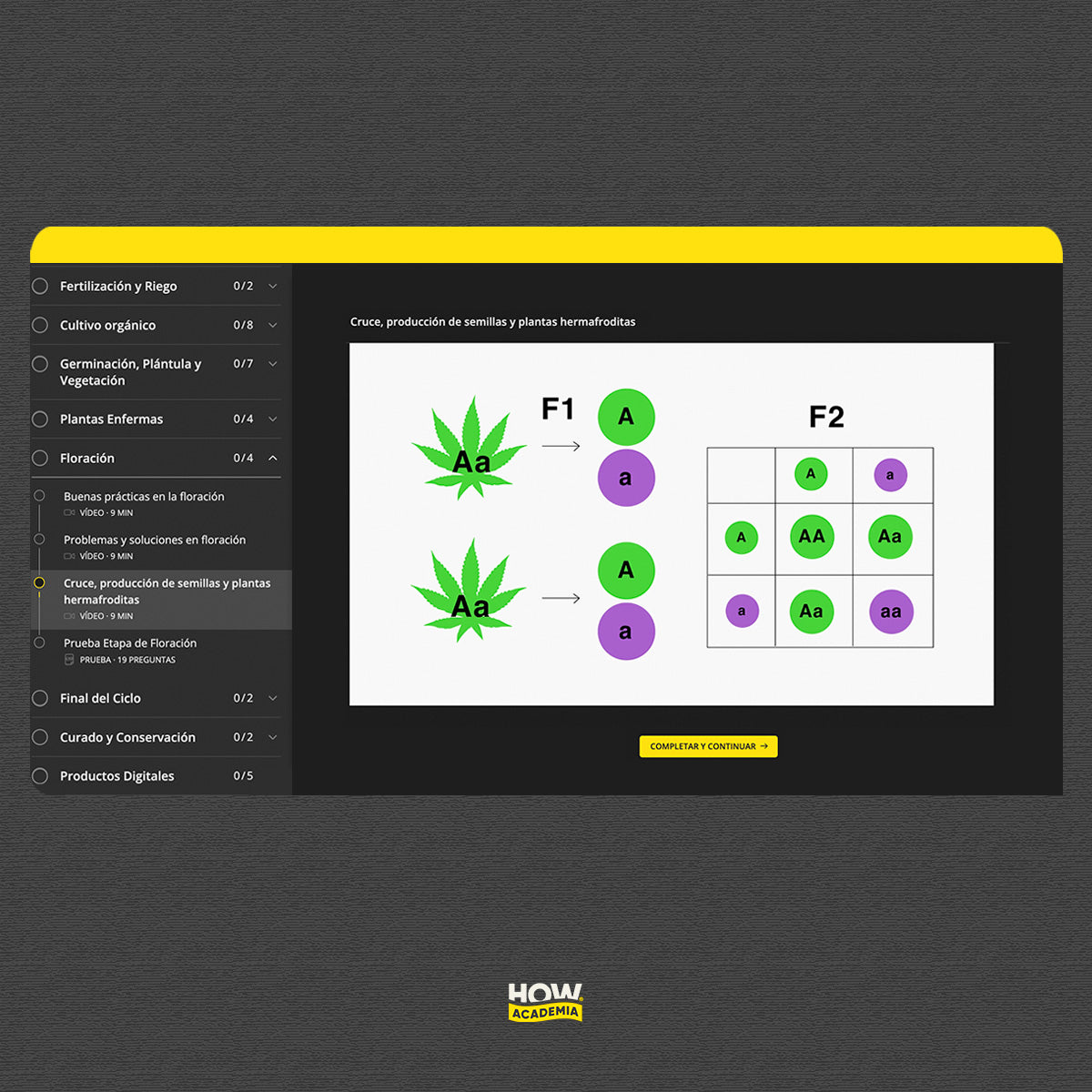 Curso Cannabis Online Paso a Paso