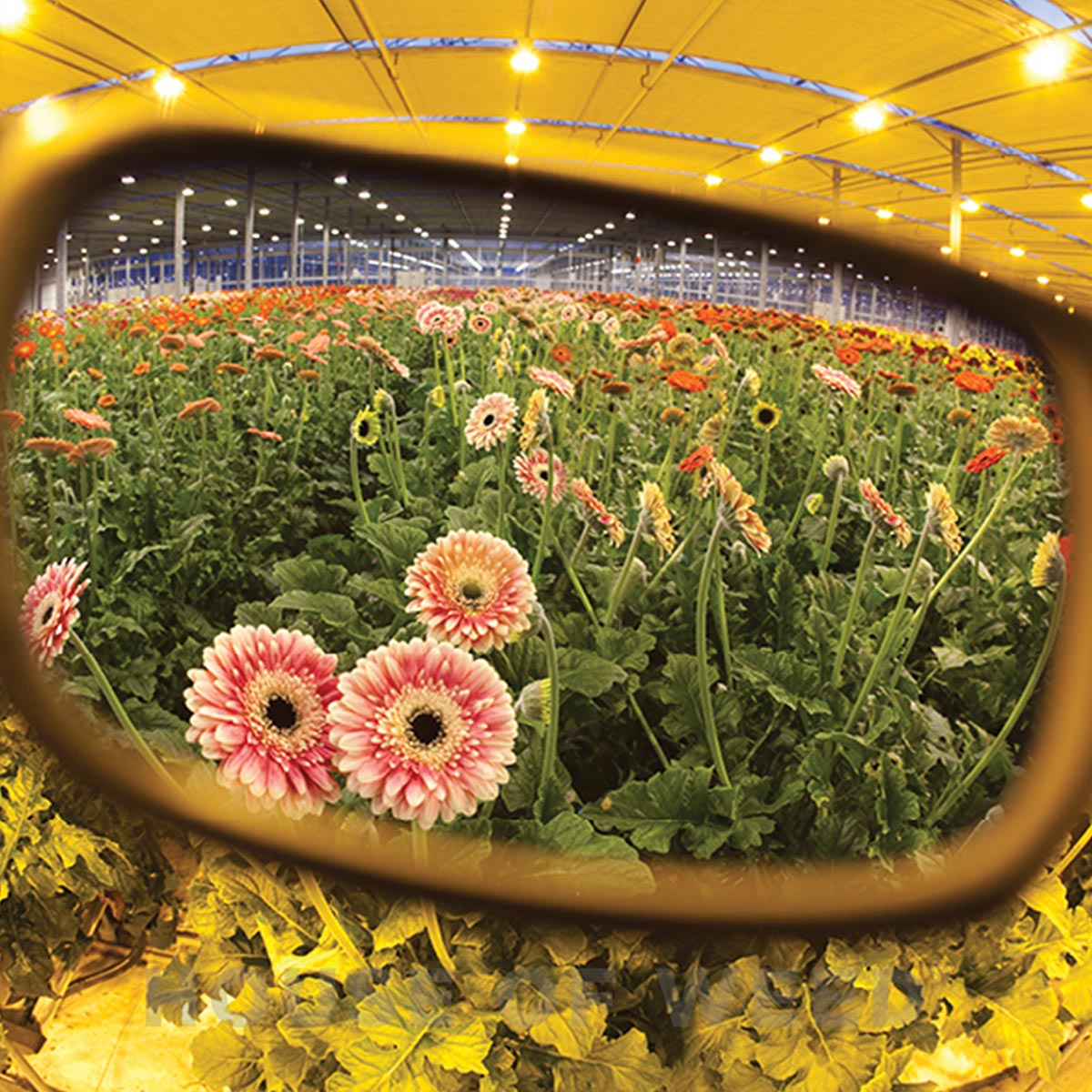 Gafas Method Seven Cultivator HPS+