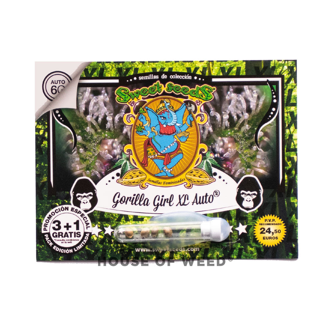 Empaque de semillas Gorilla Girl XL AUTO de sweet seeds