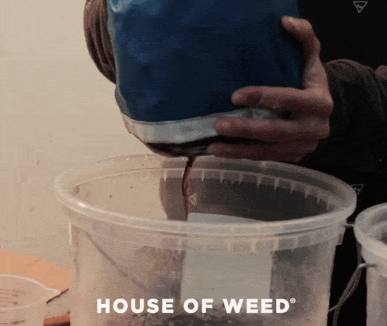 Bolsas para Bubble Hash