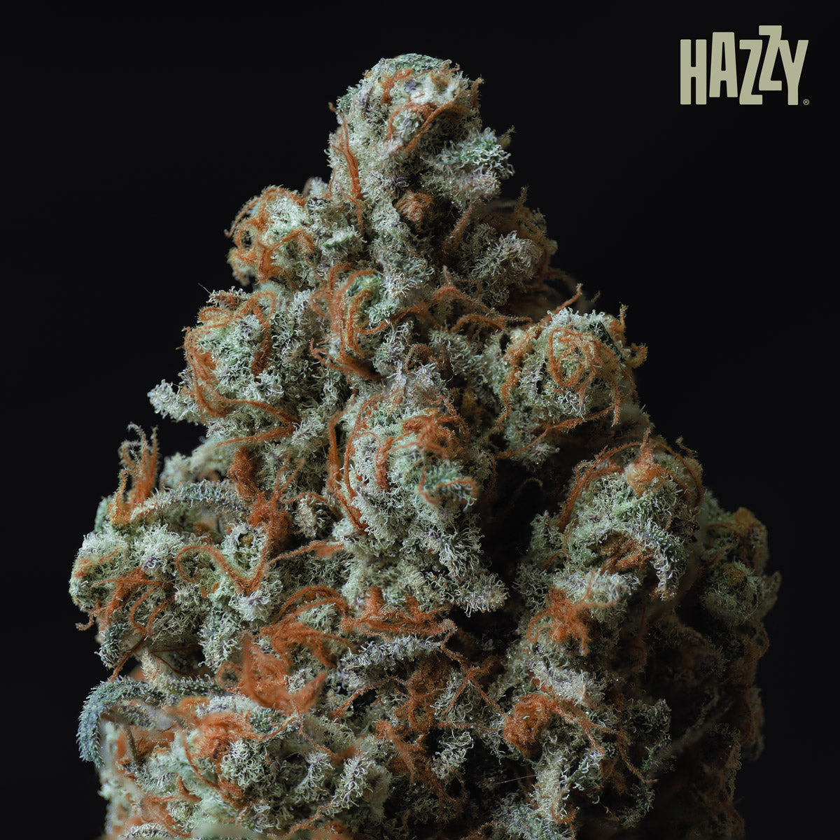 cogollo wally resinoso con grandes estigmas