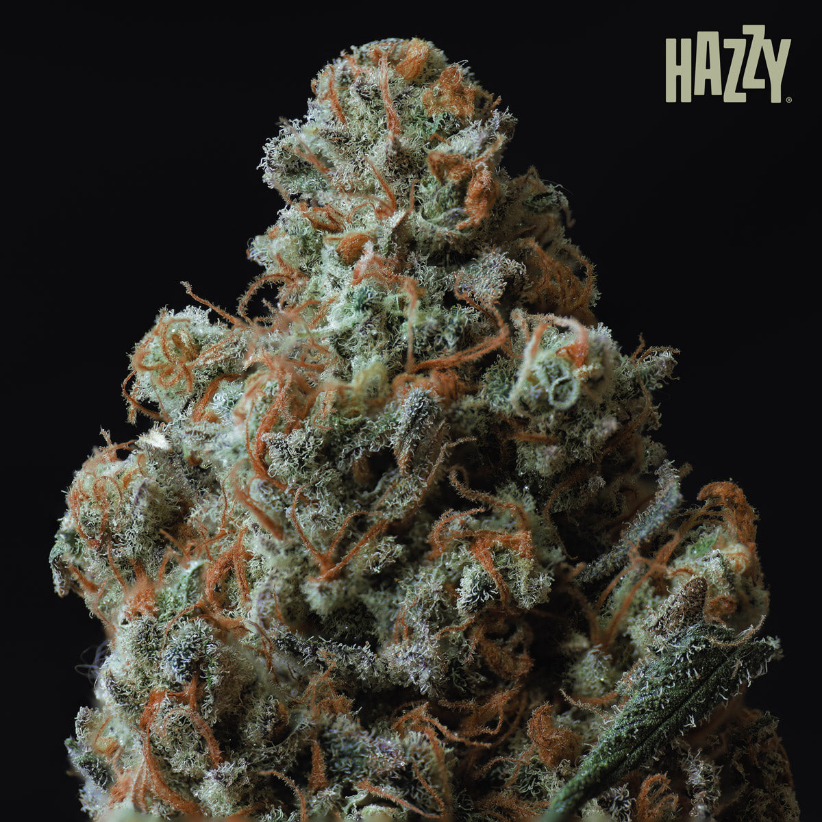 cogollo wally resinoso con grandes estigmas