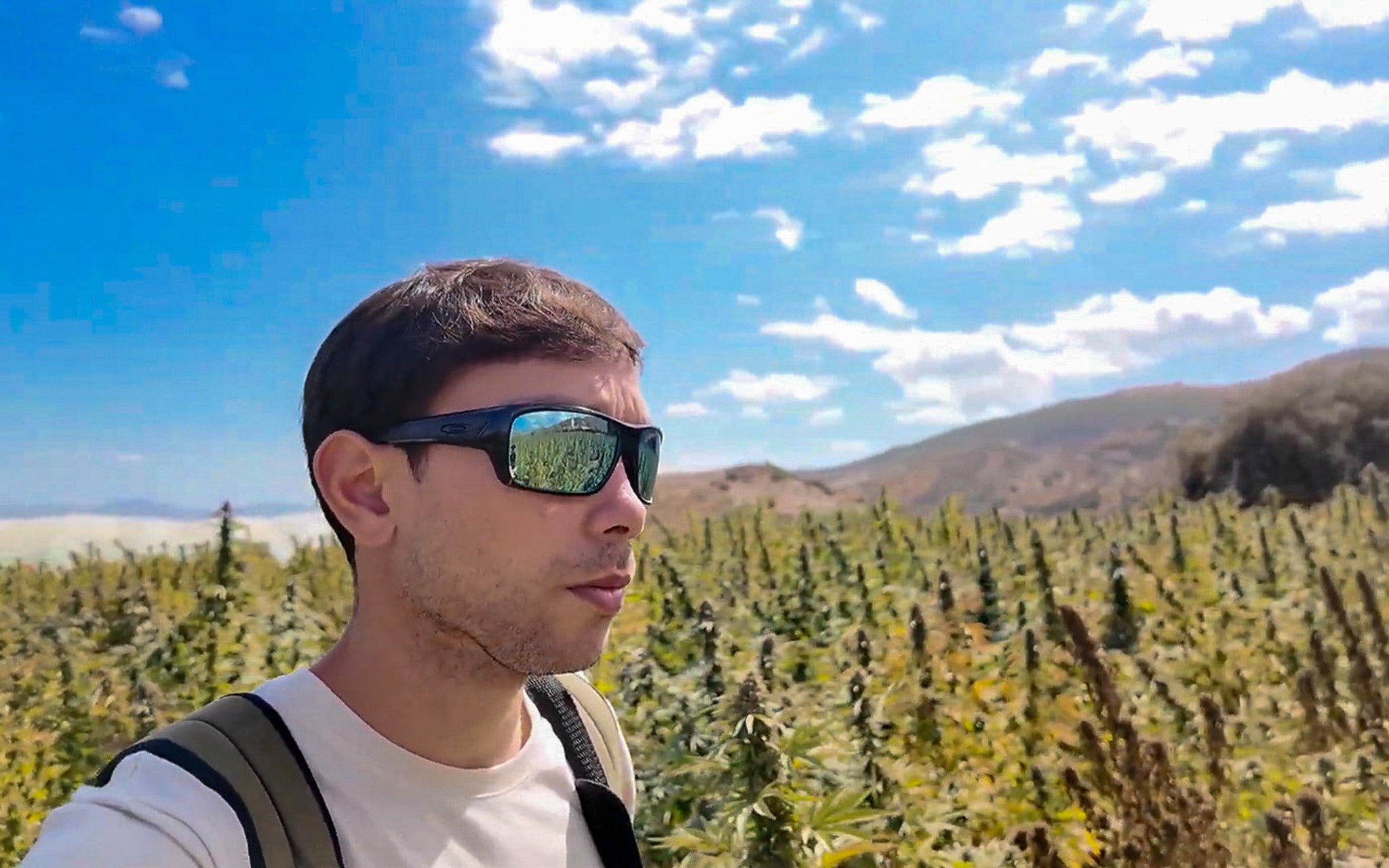 Equipo de House of Weed y World Breeders evaluando genéticas cannabis en el Rif, Marruecos