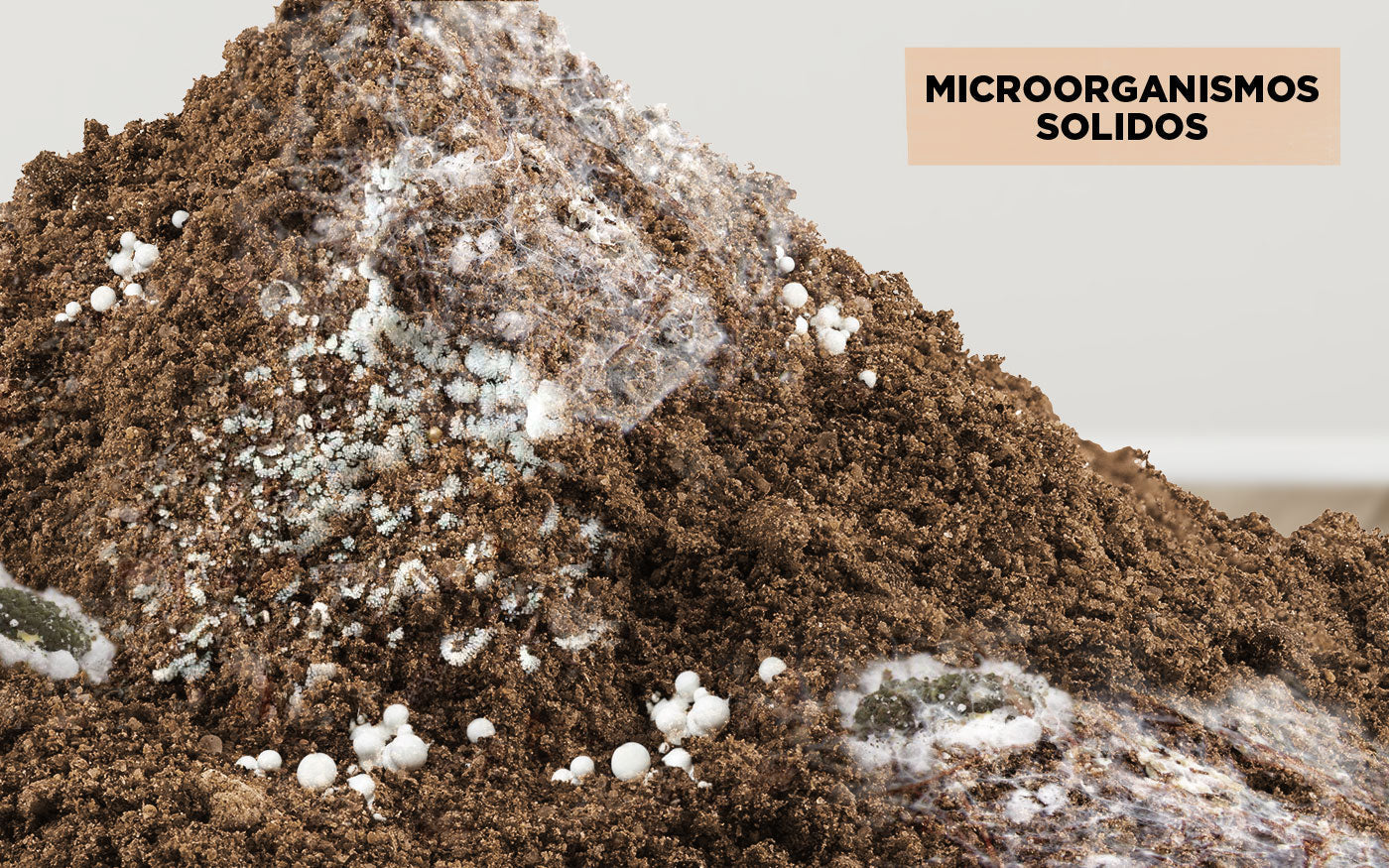 Microorganismos sólidos de montaña (IMO) para cultivo orgánico de cannabis
