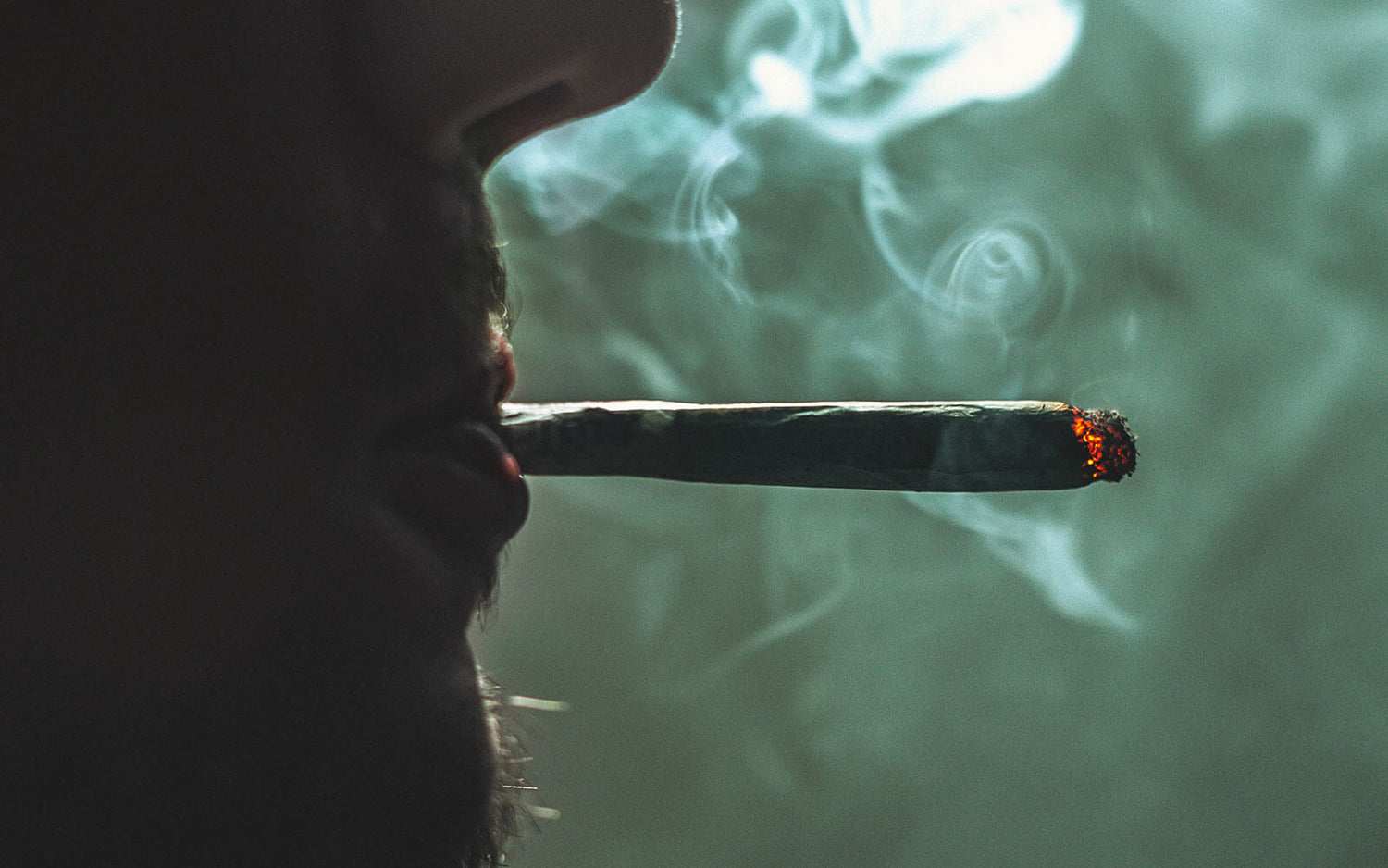 7 tips para disminuir el consumo de marihuana de forma gradual