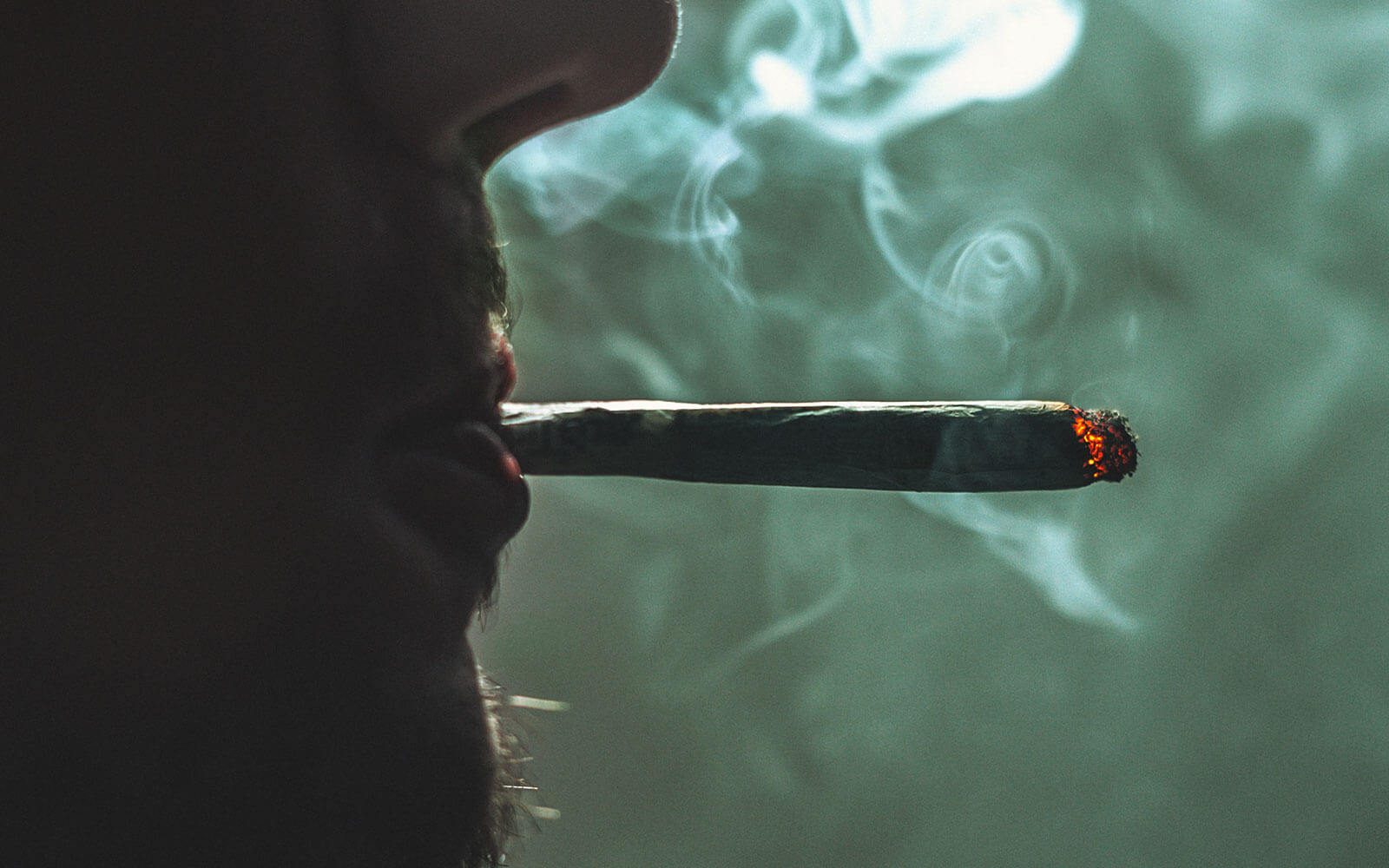 7 tips para disminuir el consumo de marihuana de forma gradual