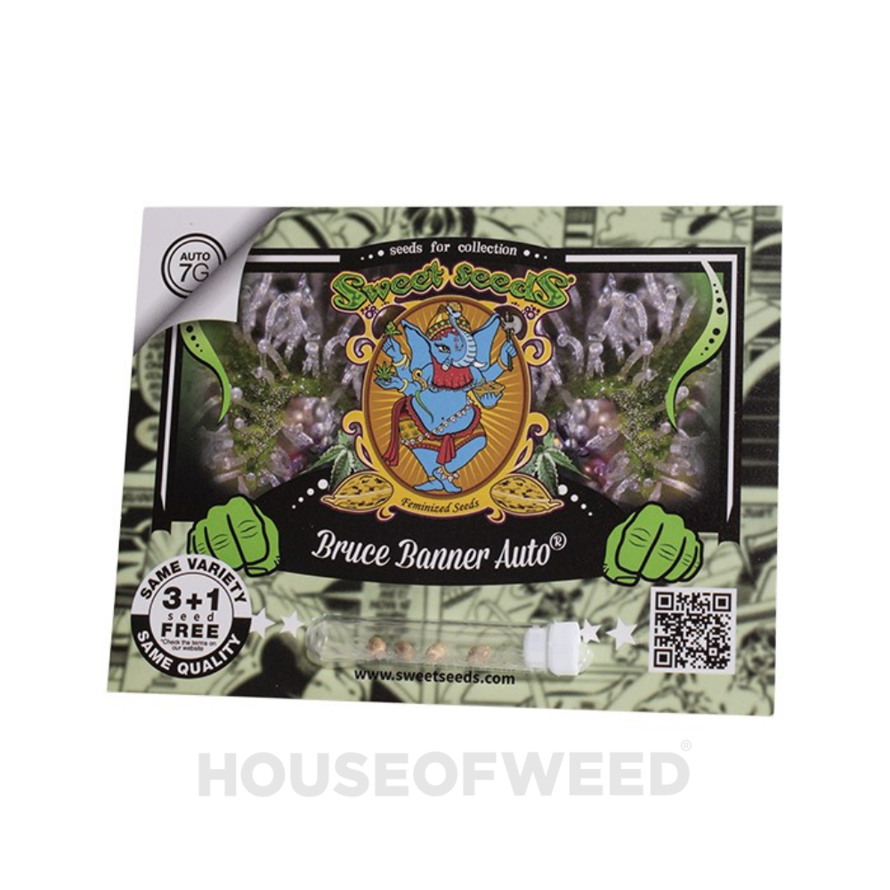 Bruce Banner Auto®