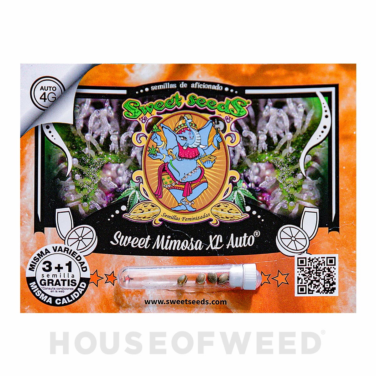 Empaque de Sweet Mimosa XL Auto de Sweet Seeds. Contiene 3 + 1 semilla gratis